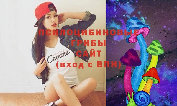гидропоника Заволжск