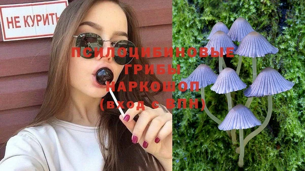 apvp Заводоуковск