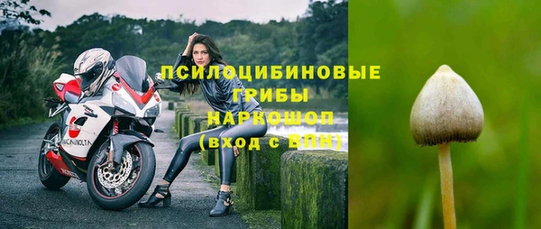 гидропоника Заволжск