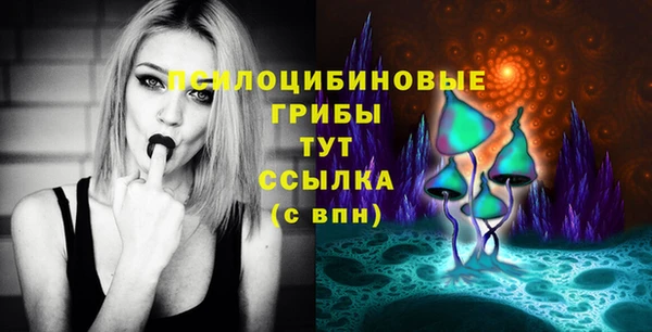 apvp Заводоуковск