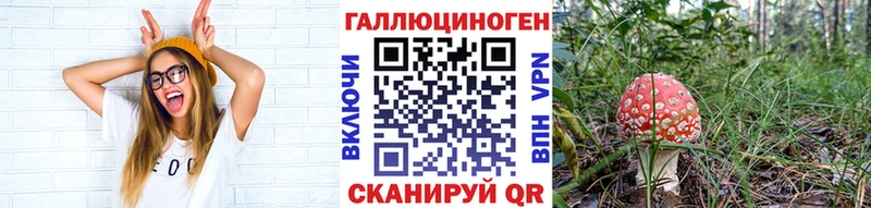Галлюциногенные грибы GOLDEN TEACHER  Купить где  Заводоуковск 