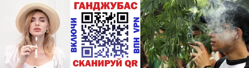 Бошки Шишки план  Купить где  Заводоуковск 